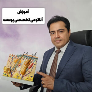 آناتومی تخصصی پوست