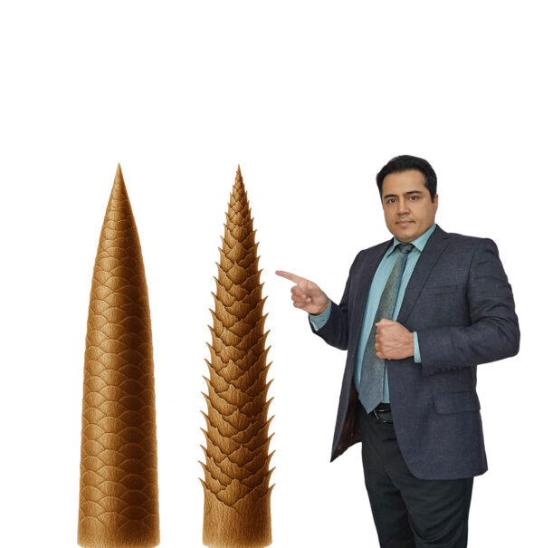 مراقبت از ساقه مو